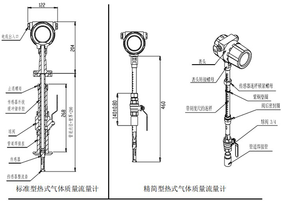 熱式流量計(jì)插入式結(jié)構(gòu)圖